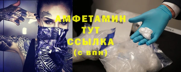 стаф Вязьма